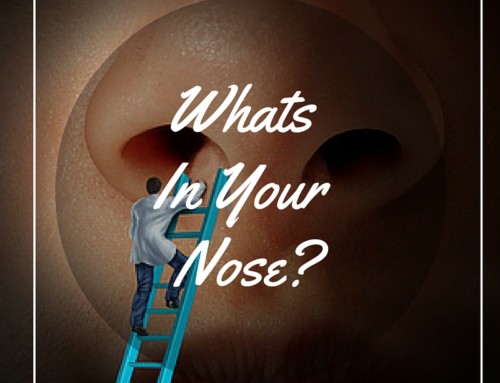 Whats in your nose?